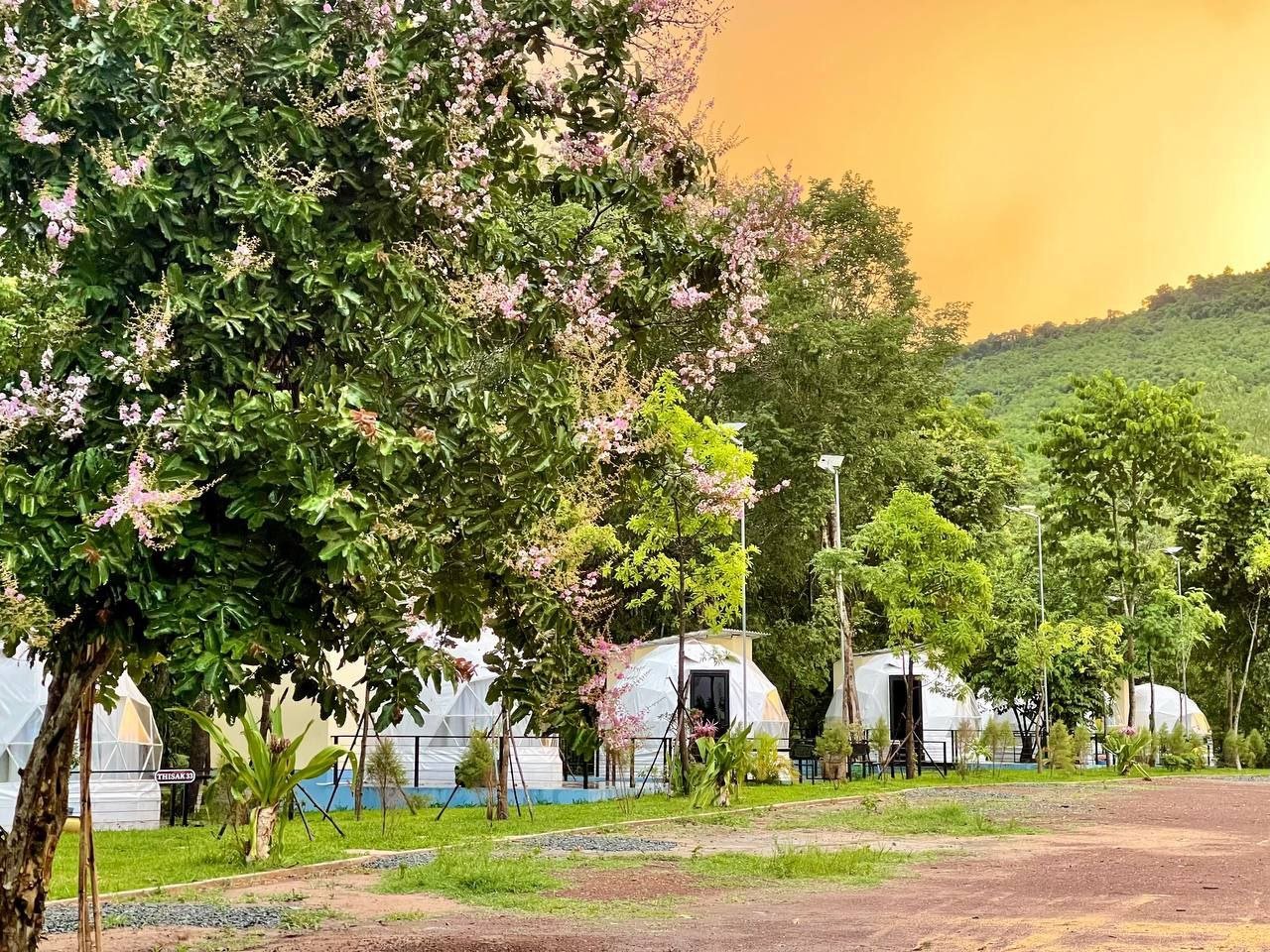 SERVA Travel Cambodia tour experience